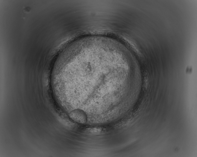 X0000089380687200707131659