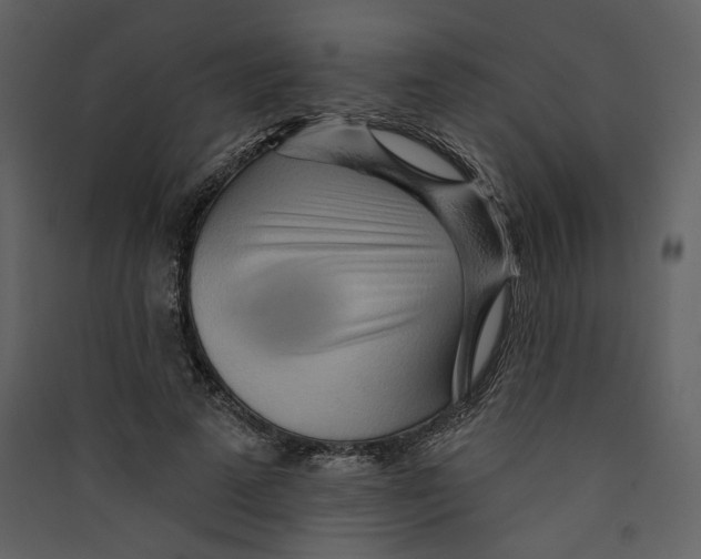 X0000089380689200707131658