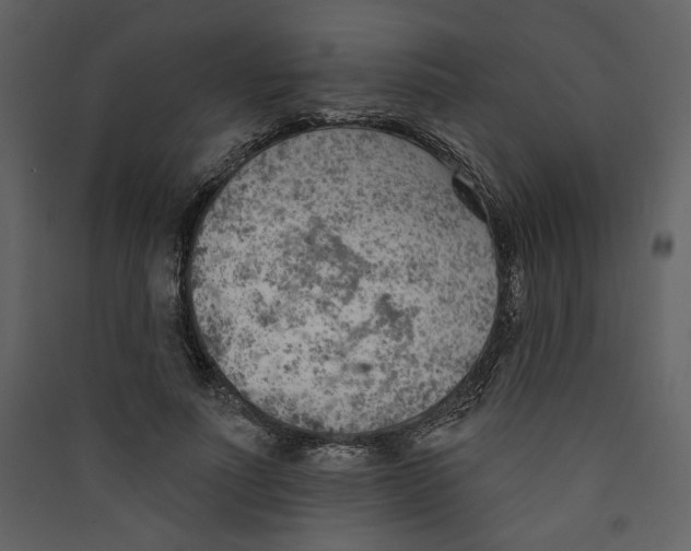 X0000089380691200707131658