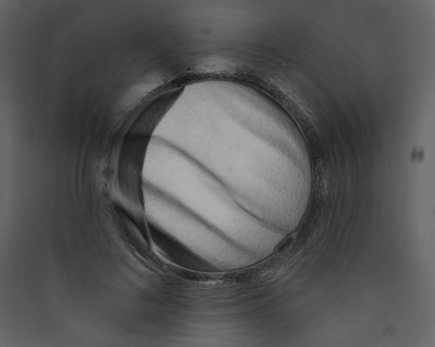 X0000089380692200707131658