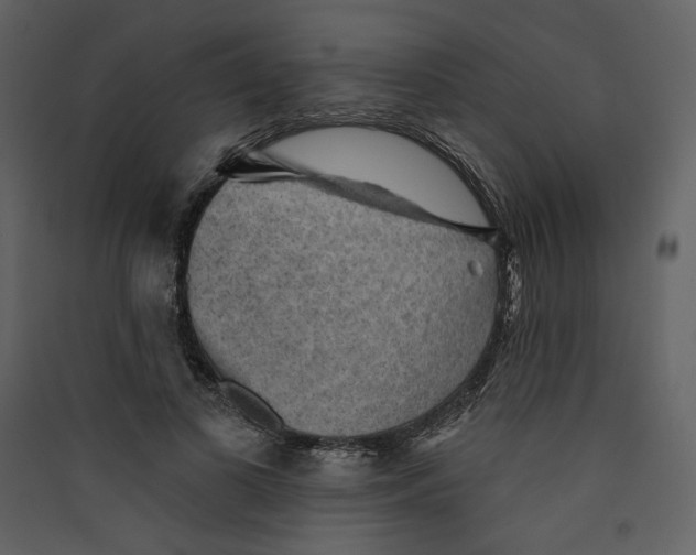 X0000089380693200707131658