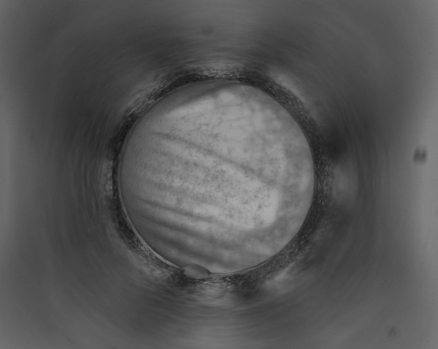 X0000089380696200707131658