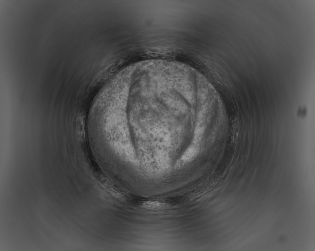 X0000089380699200707131658