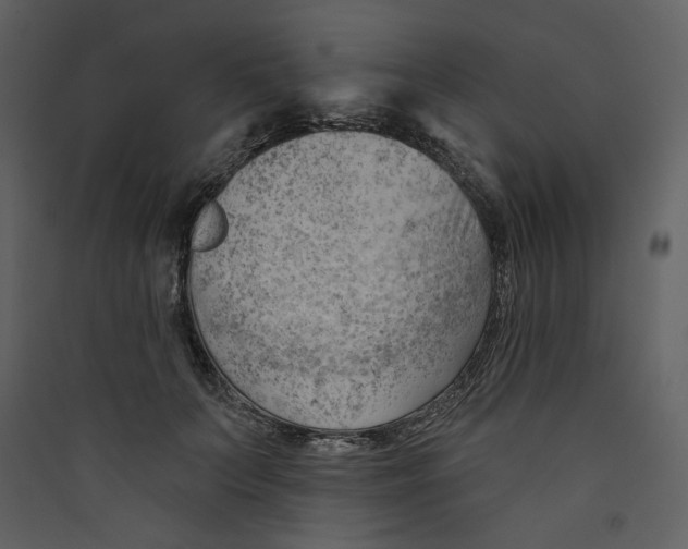 X0000089380703200707131658