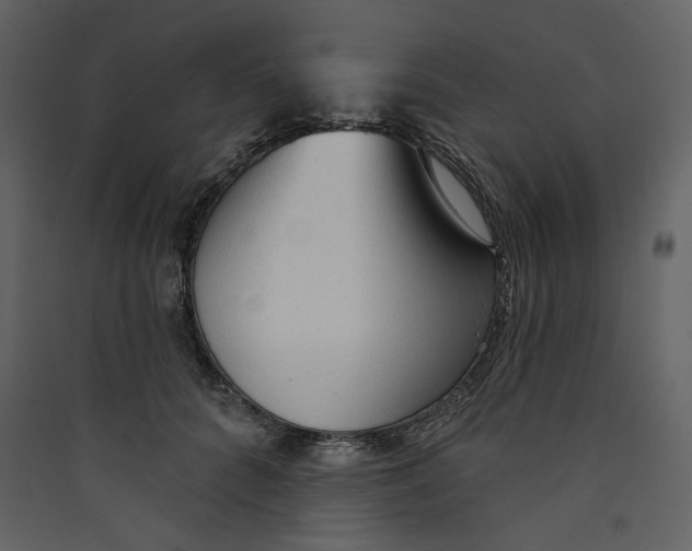 X0000089380704200707131658