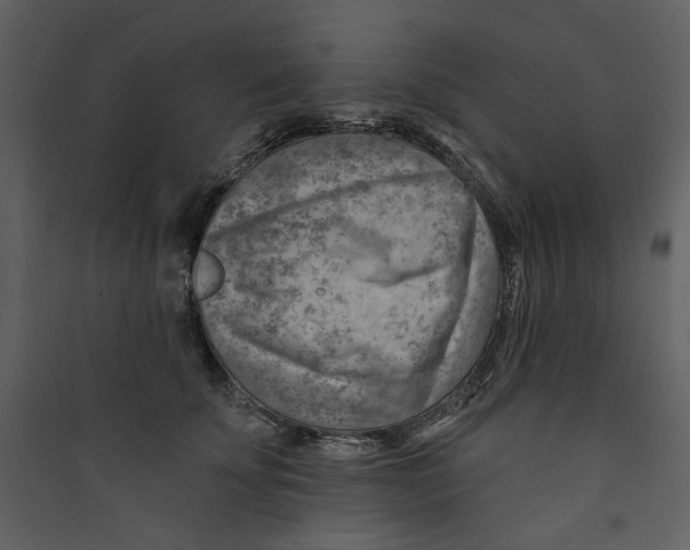 X0000089380707200707131658