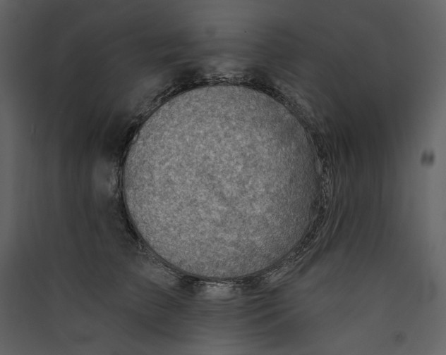 X0000089380709200707131658