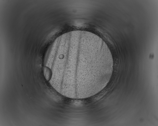 X0000089380710200707131658