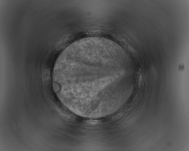 X0000089380711200707131658