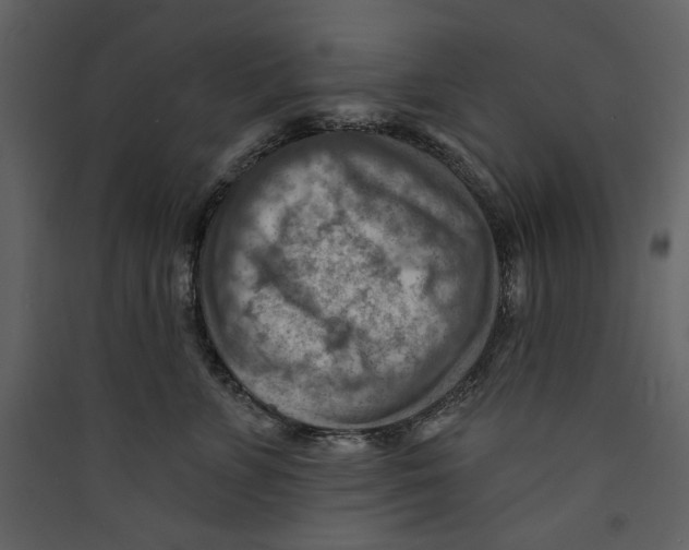 X0000089380715200707131658