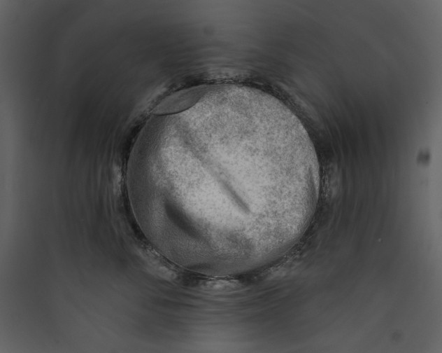 X0000089380716200707131658