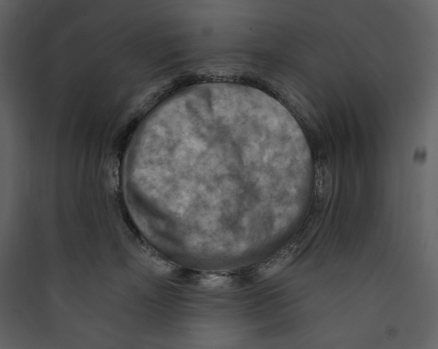 X0000089380718200707131658