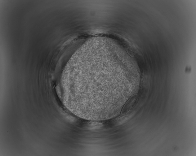 X0000089380719200707131658