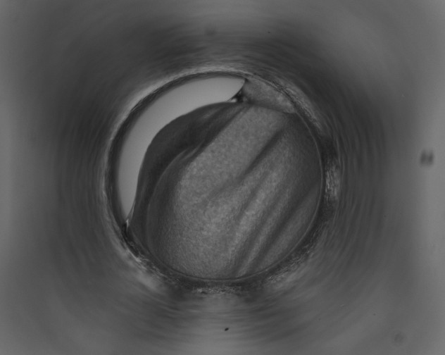 X0000089380724200707131657