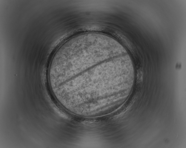 X0000089380725200707131657