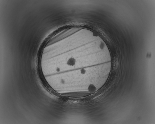 X0000089380726200707131657