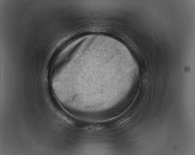 X0000089380727200707131657