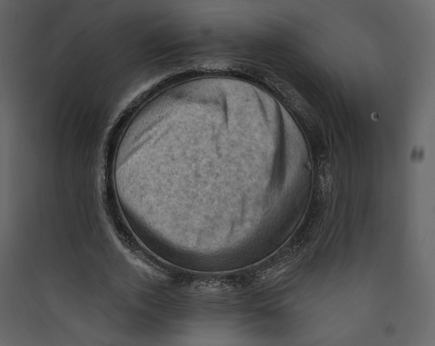 X0000089380728200707131657