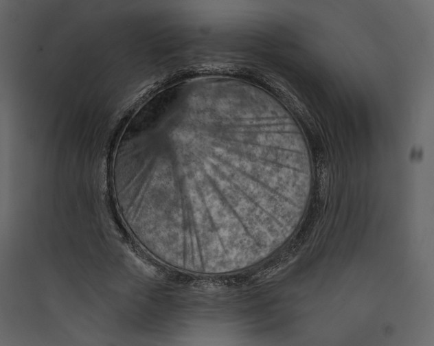 X0000089380729200707131657