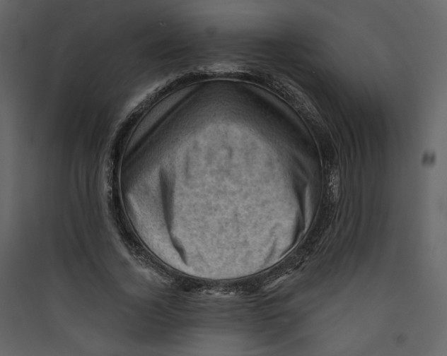 X0000089380732200707131657