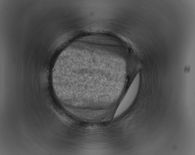 X0000089380735200707131658