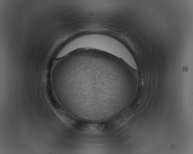 X0000089380736200707131658