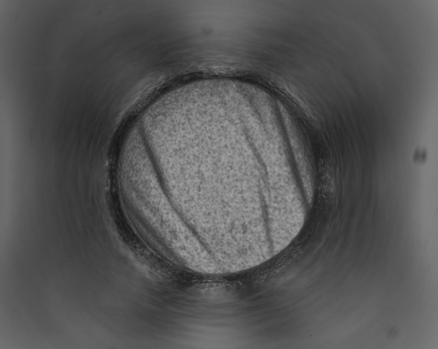 X0000089380738200707131658