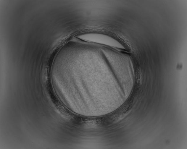 X0000089380740200707131658