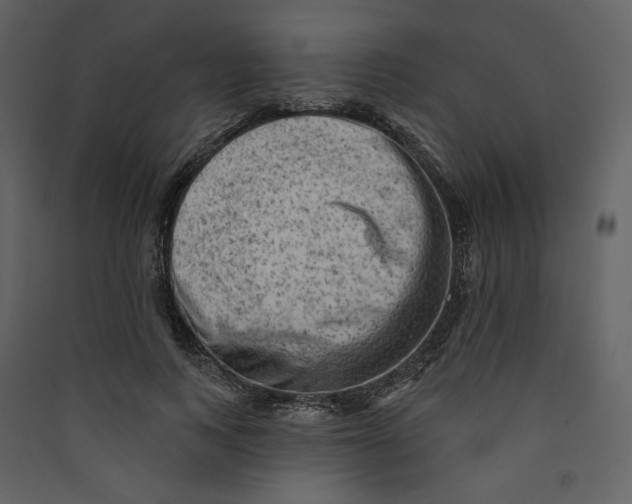 X0000089380743200707131658