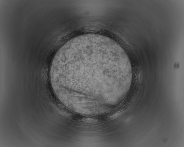 X0000089380745200707131658