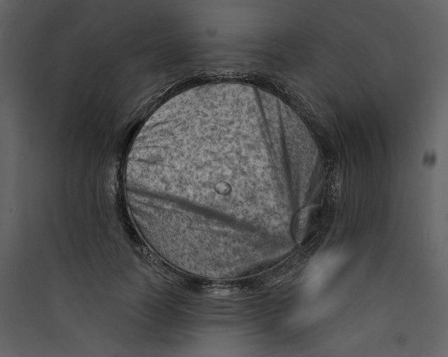 X0000089380746200707131658