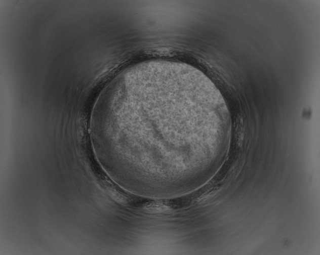 X0000089380747200707131658