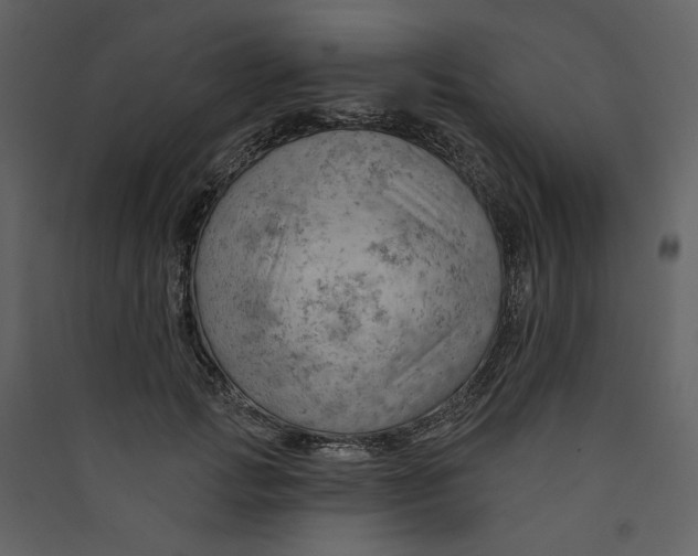 X0000089380749200707131658