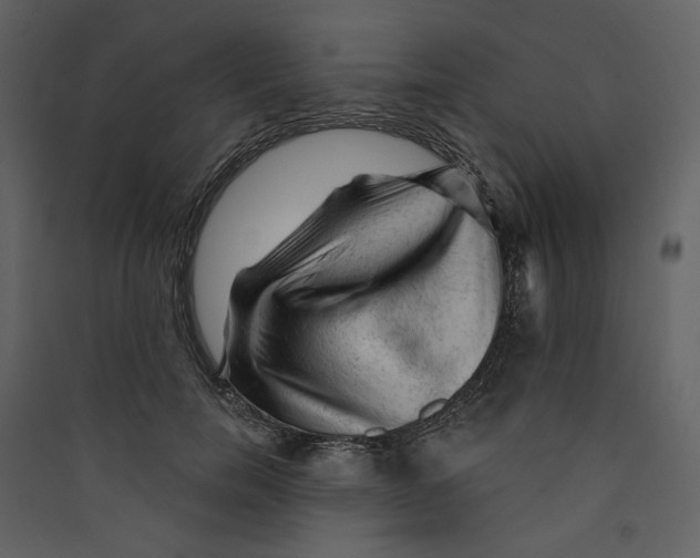 X0000089380750200707131658