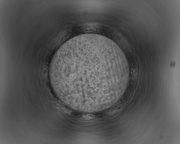 X0000089380753200707131658