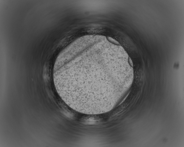 X0000089380755200707131658