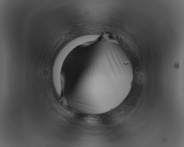 X0000089380756200707131658