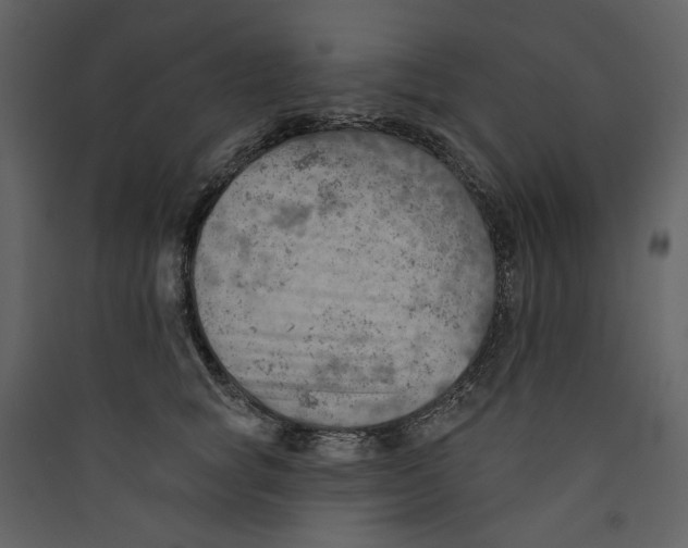 X0000089380757200707131658