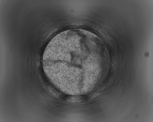 X0000089380758200707131658