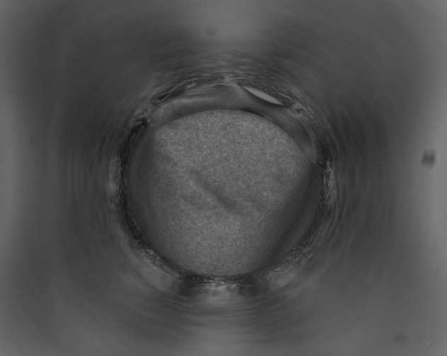 X0000089380760200707131658