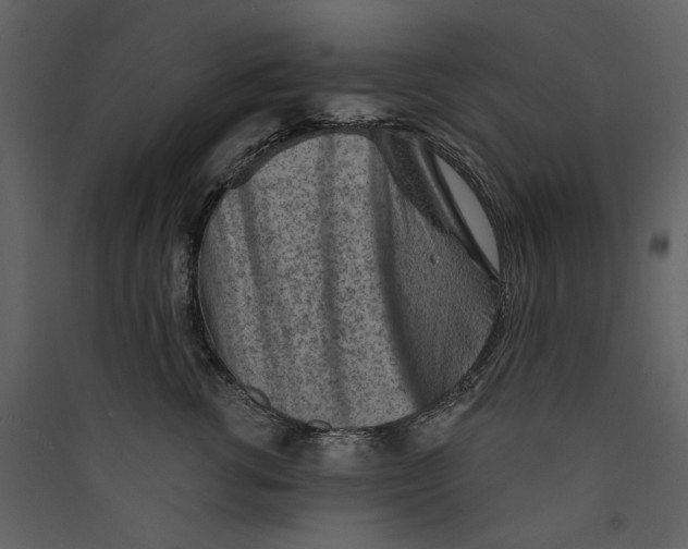 X0000089380762200707131658