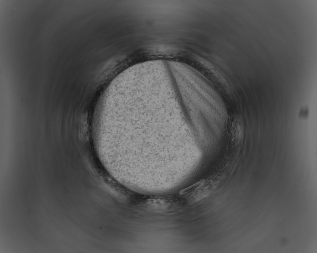 X0000089380764200707131658