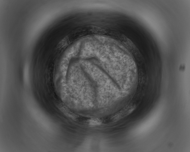 X0000089380765200707131658