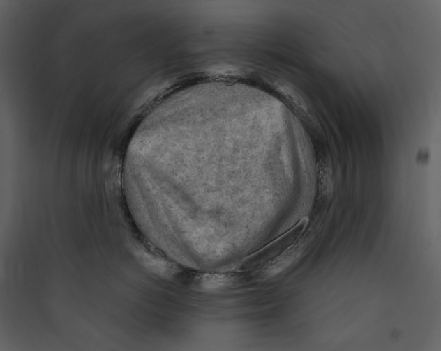 X0000089380766200707131658