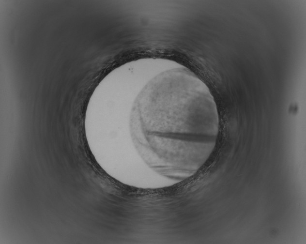 X0000089380769200707131657