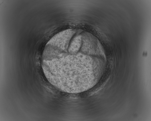 X0000089380770200707131657