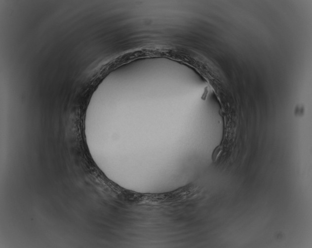 X0000089380773200707131657