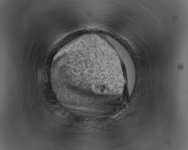 X0000089380776200707131657