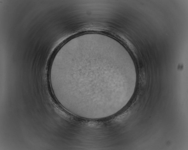 X0000089380779200707131657