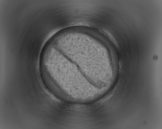 X0000089380780200707131657